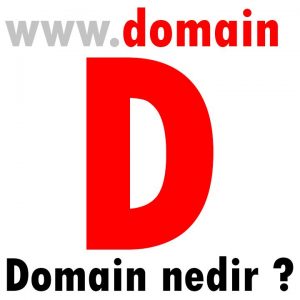 domain nedir